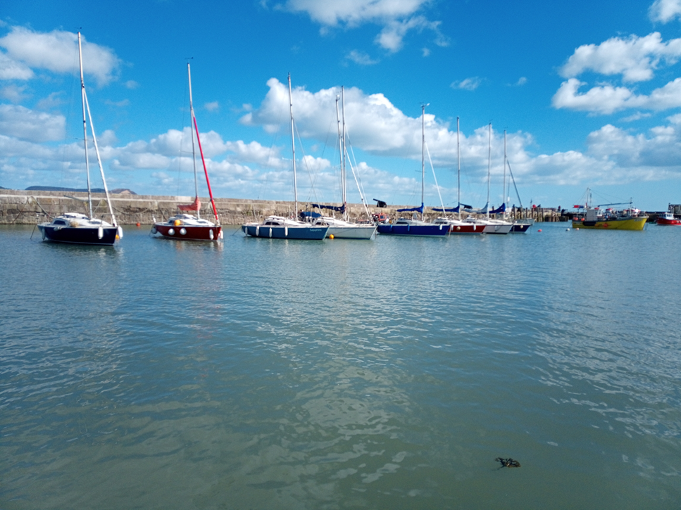fleet1
